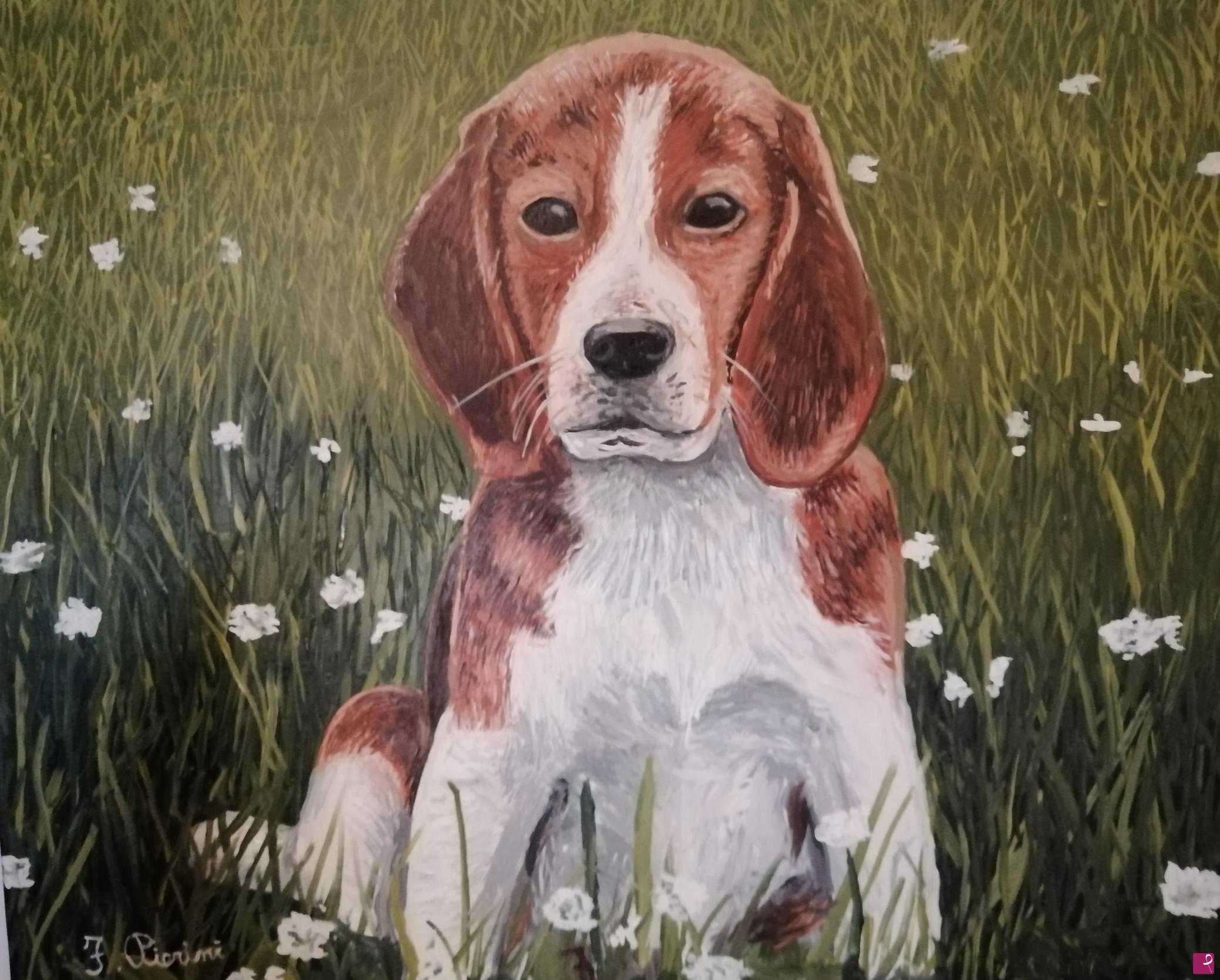 quadri in vendita online - Canino