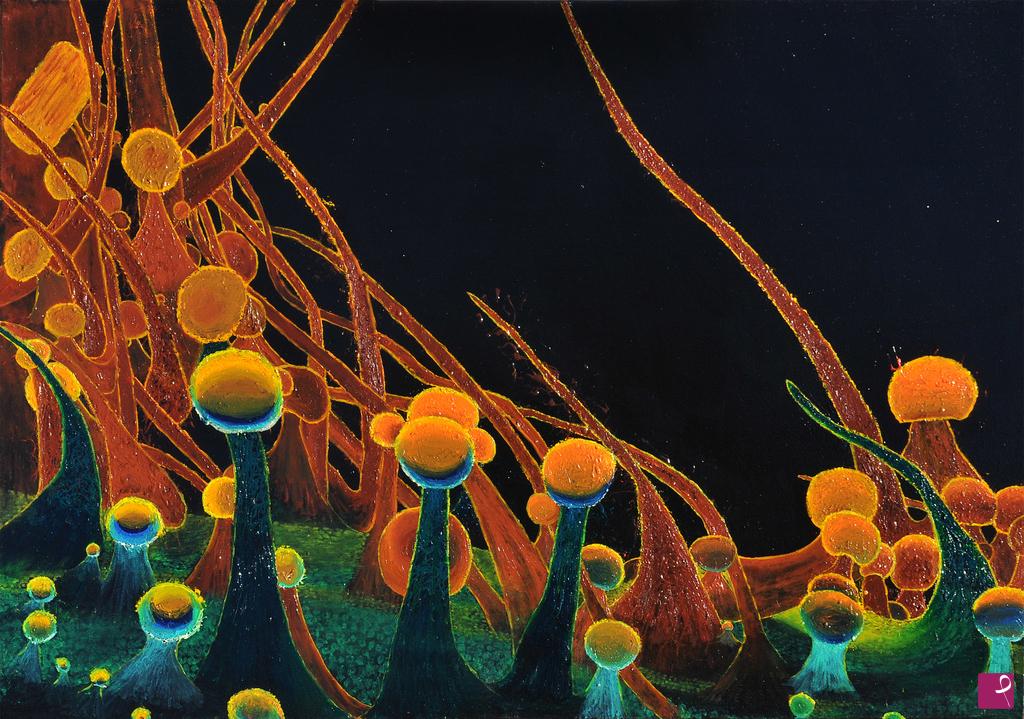 quadri in vendita online - Cannabis al Microscopio