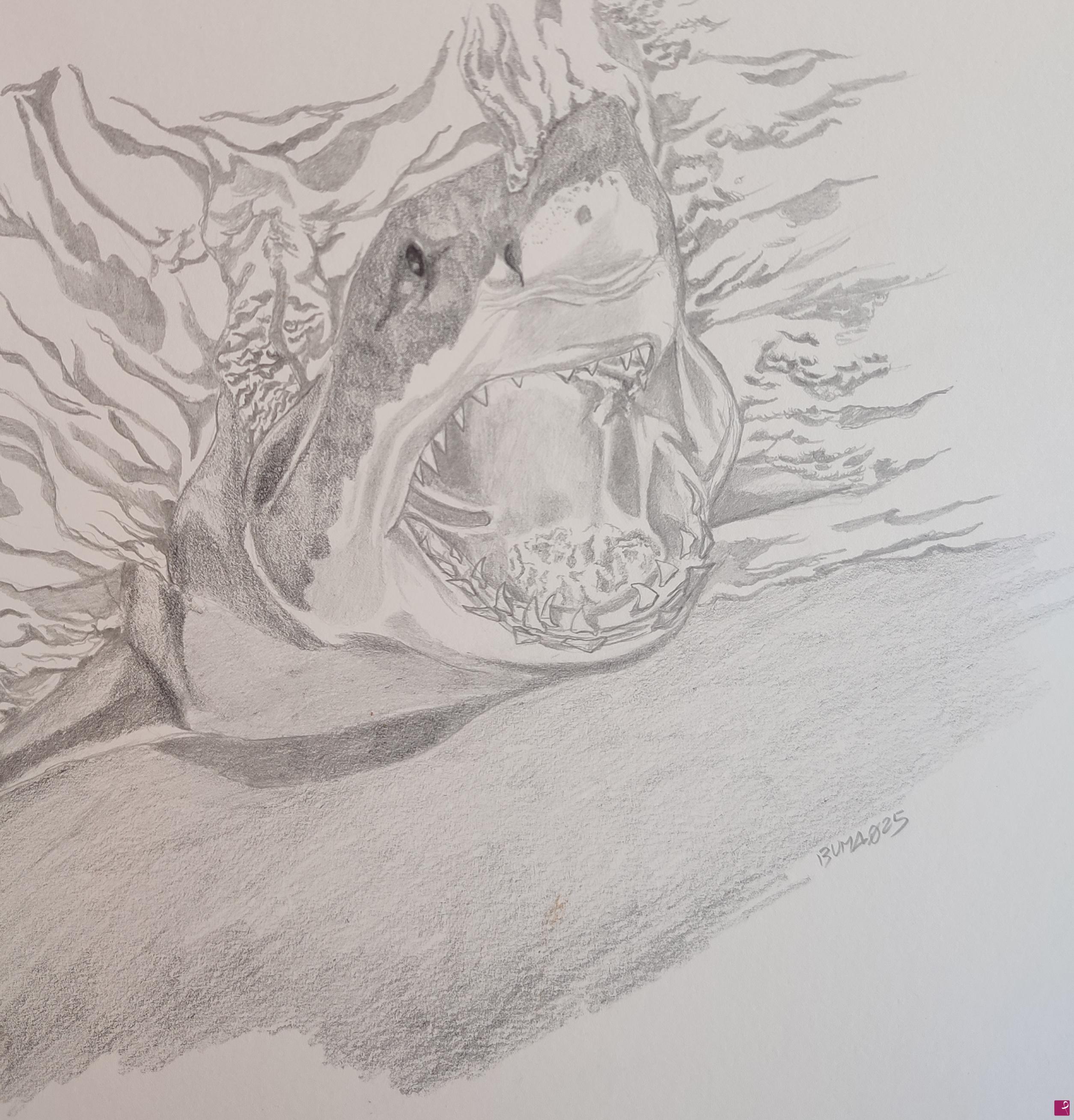 quadri in vendita online - carcharodon 