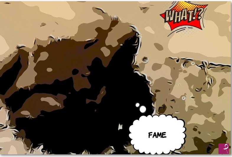 quadri in vendita online - CARTOONFROG