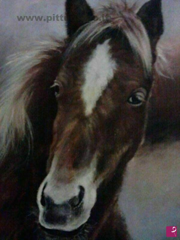 quadri in vendita online - cavallo