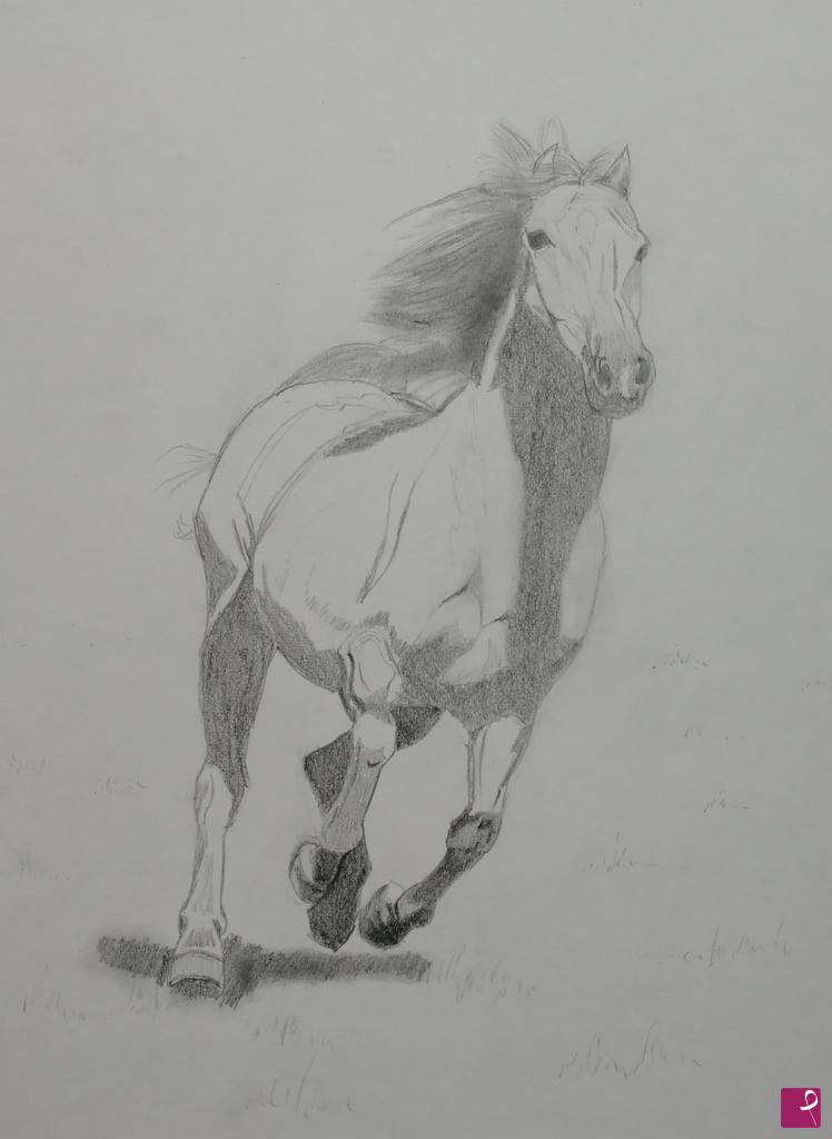 quadri in vendita online - Cavallo al galoppo