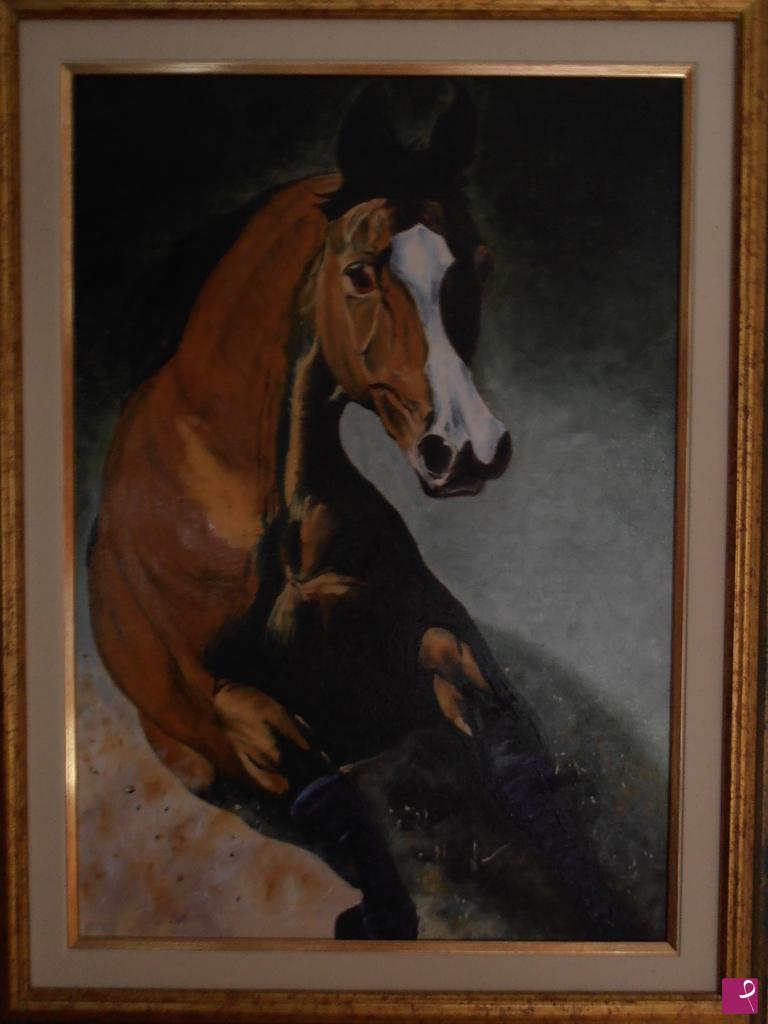 quadri in vendita online - cavallo arabo
