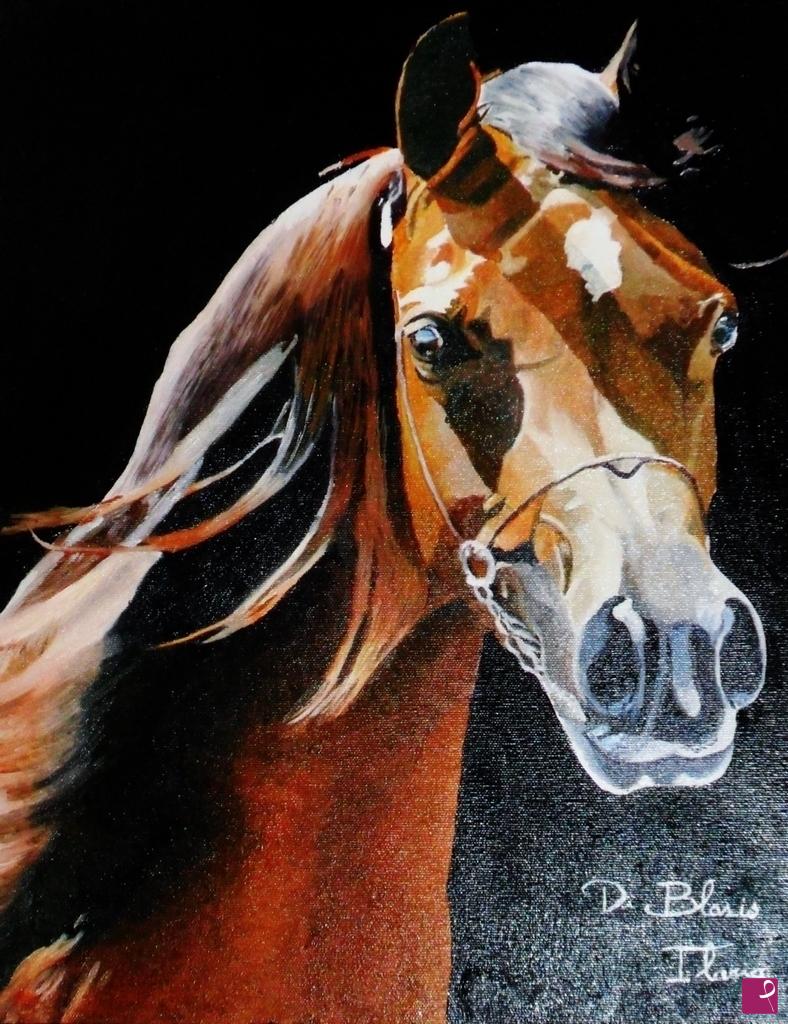 quadri in vendita online - Cavallo arabo