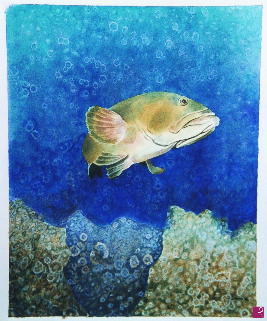 quadri in vendita online - "Cernia"   2004