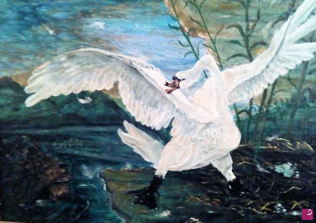 quadri in vendita online - Cigno