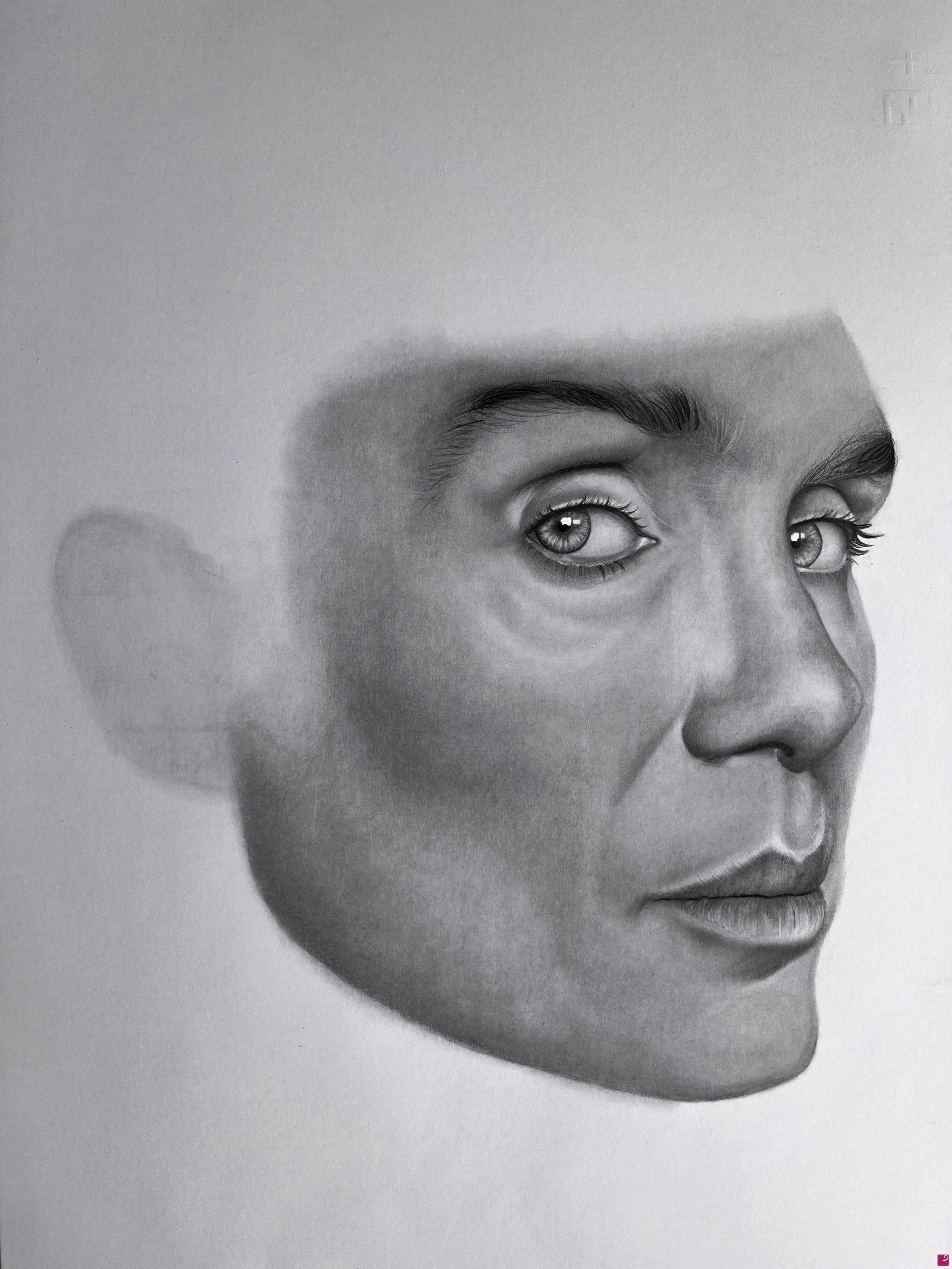 quadri in vendita online - Cillian Murphy