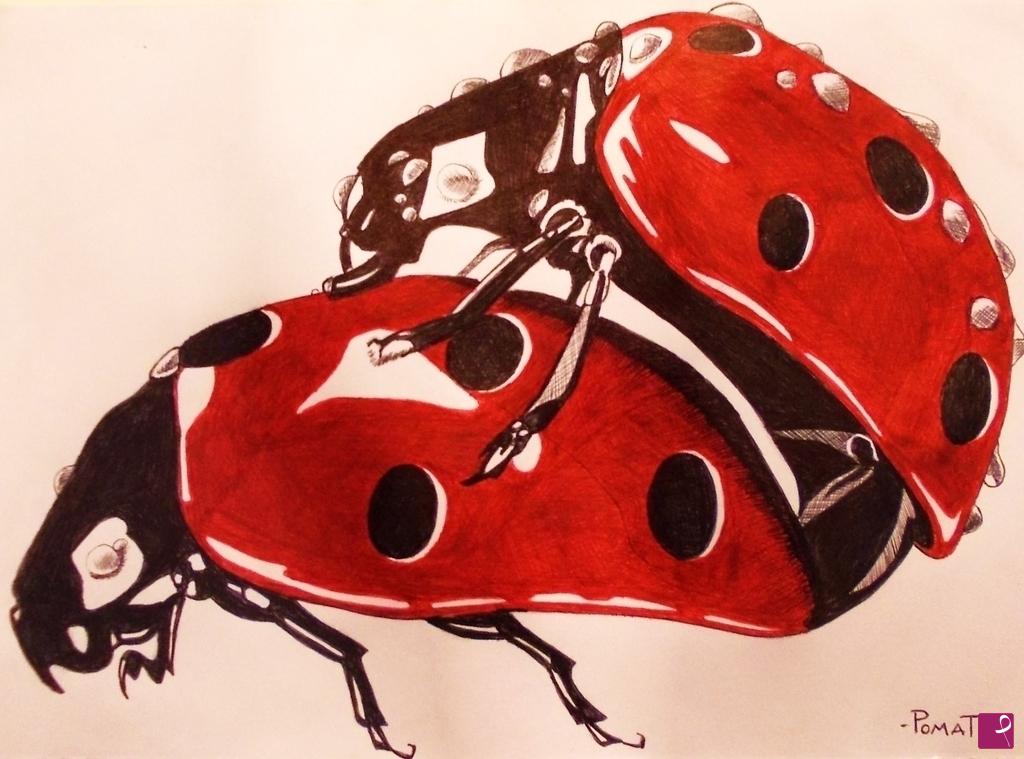 quadri in vendita online - COCCINELLE