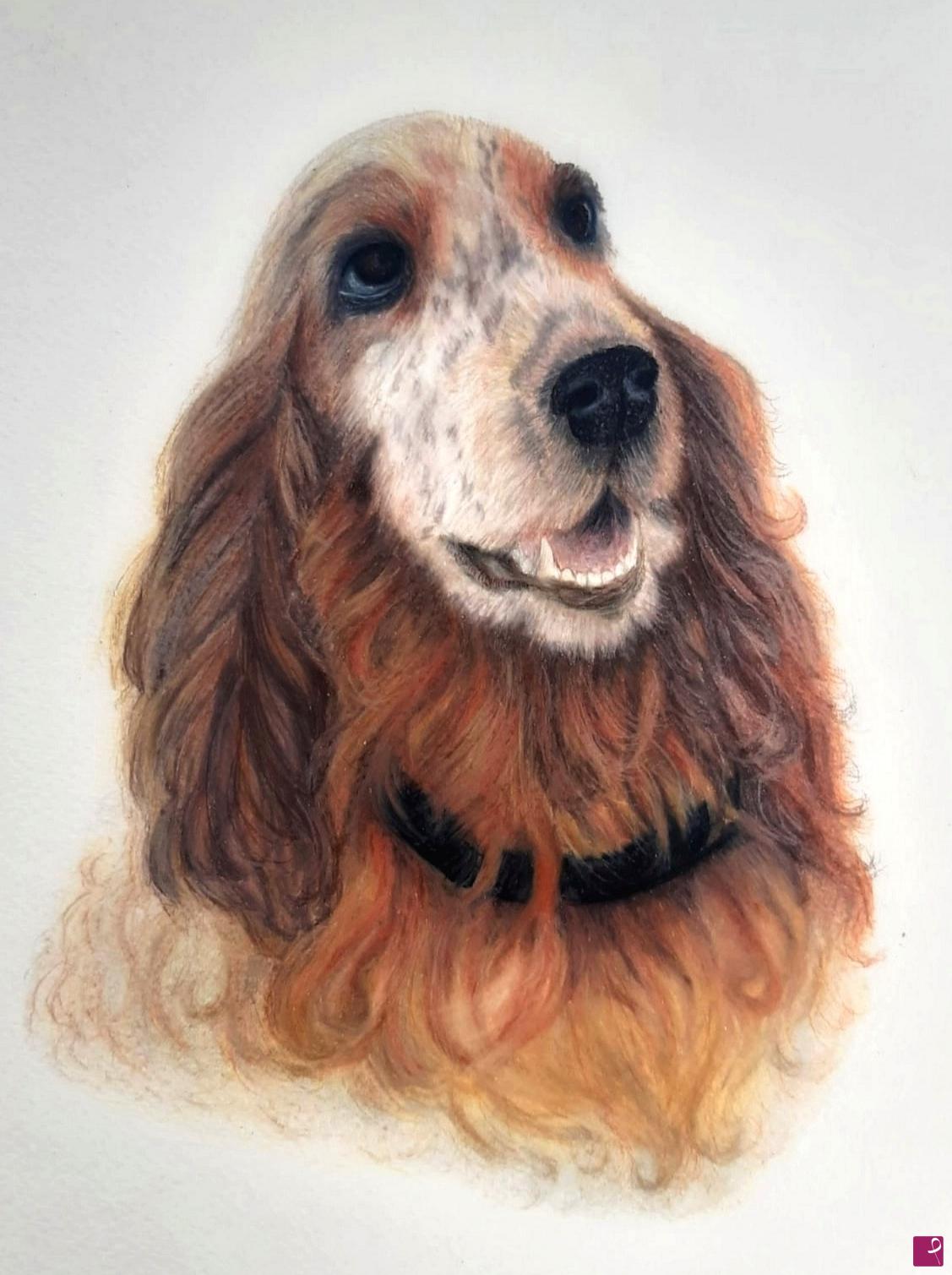quadri in vendita online - Cocker 30x40