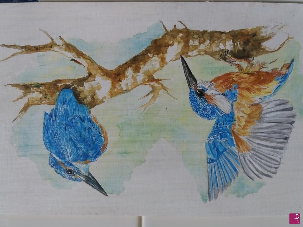 quadri in vendita online - Colibri