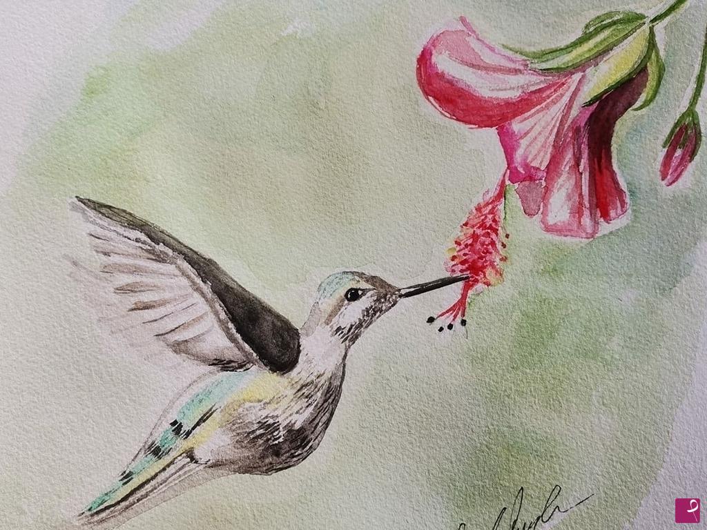 quadri in vendita online - Colibrì
