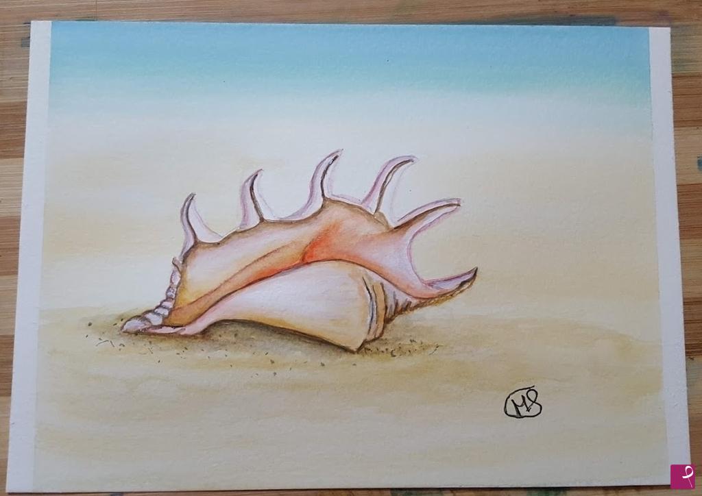 quadri in vendita online - Conchiglia di mare
