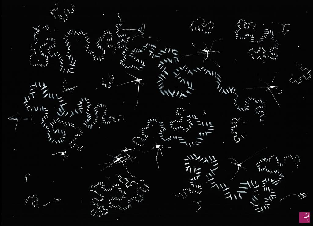 quadri in vendita online - Cosmos