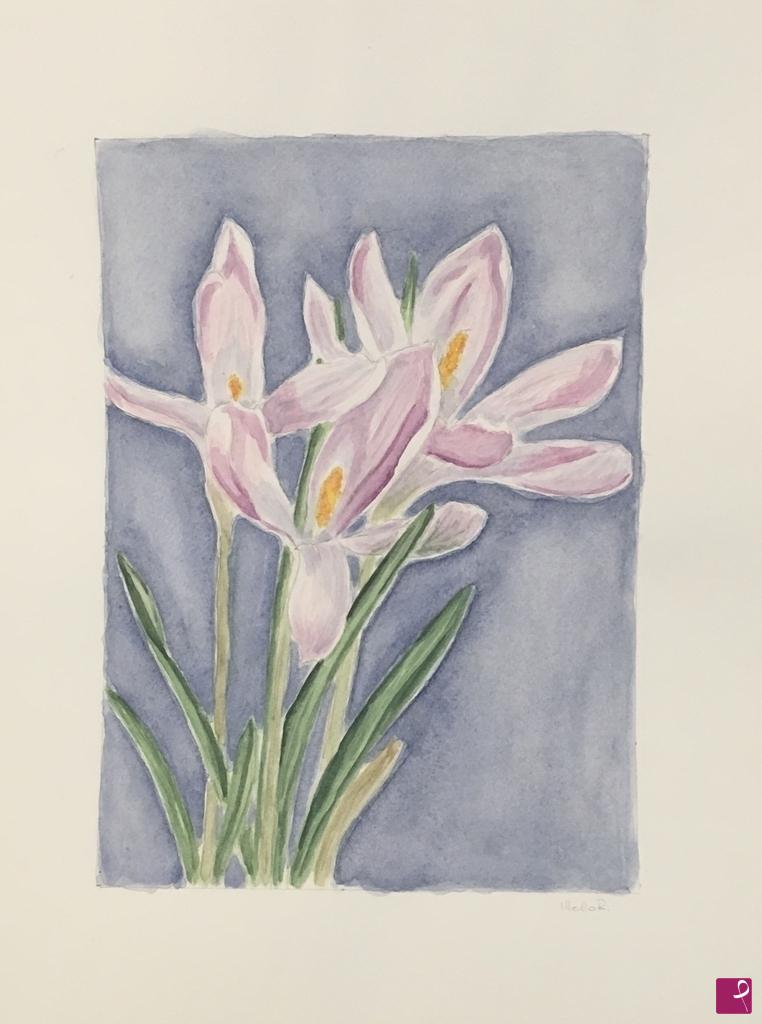 quadri in vendita online - Crocus