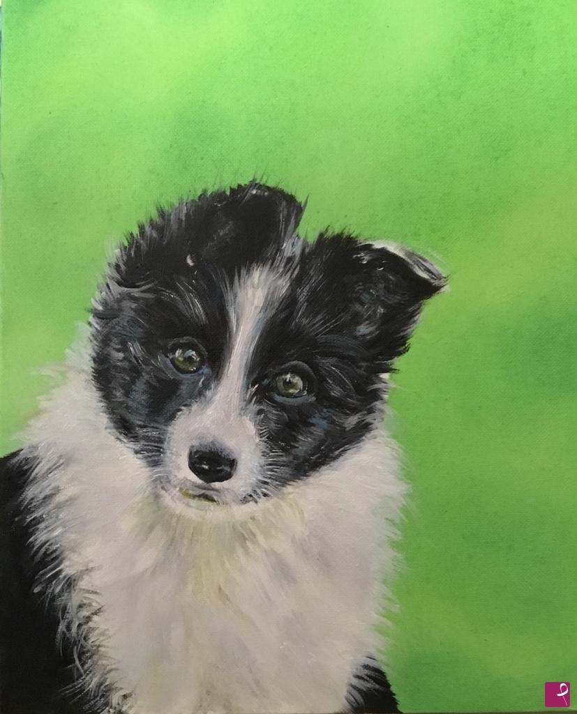quadri in vendita online - Cucciolo di border collie