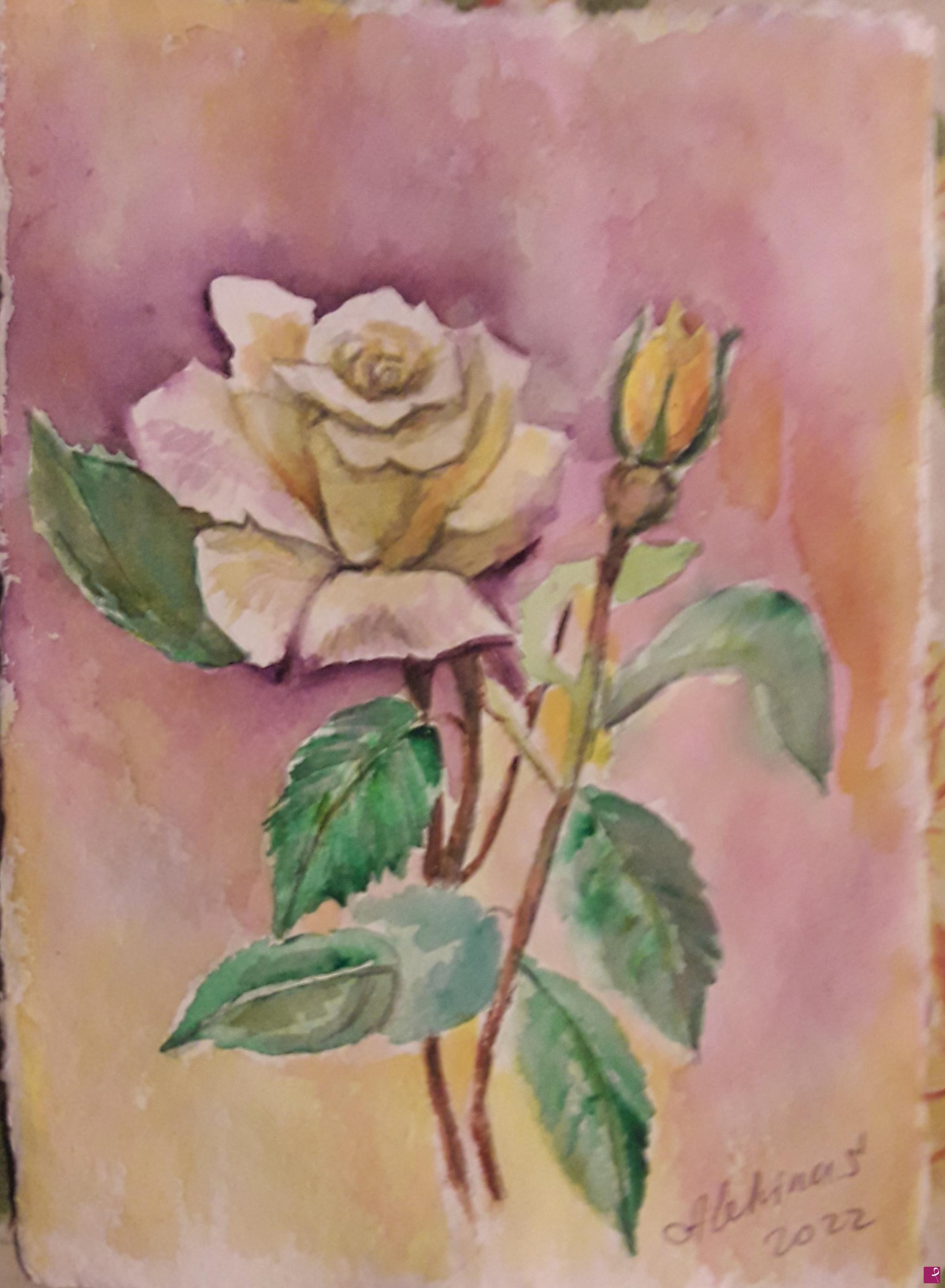 quadri in vendita online - Due rose
