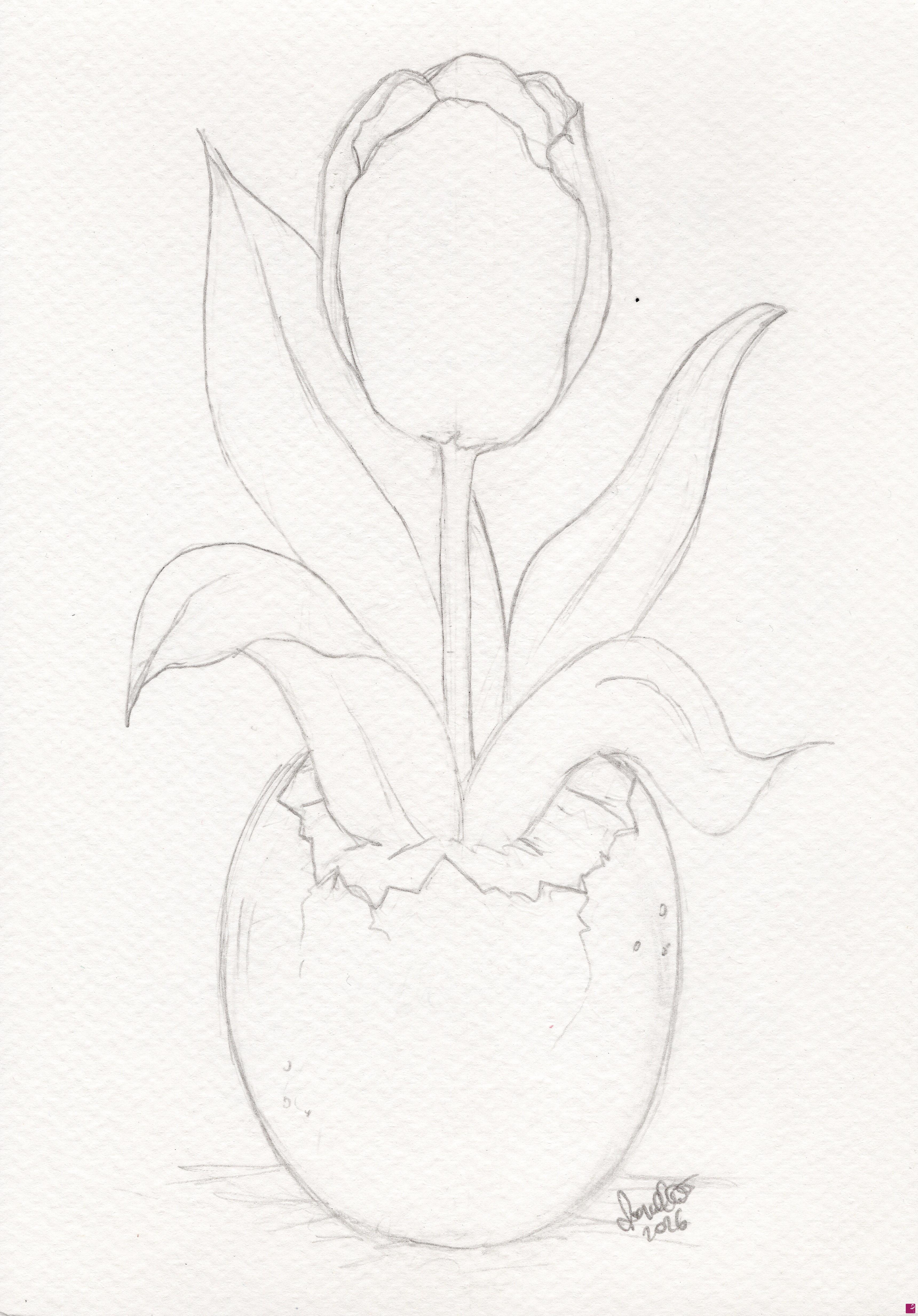 quadri in vendita online - Easter Tulip