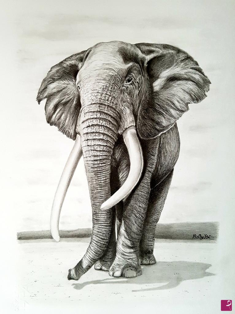 quadri in vendita online - Elefante 