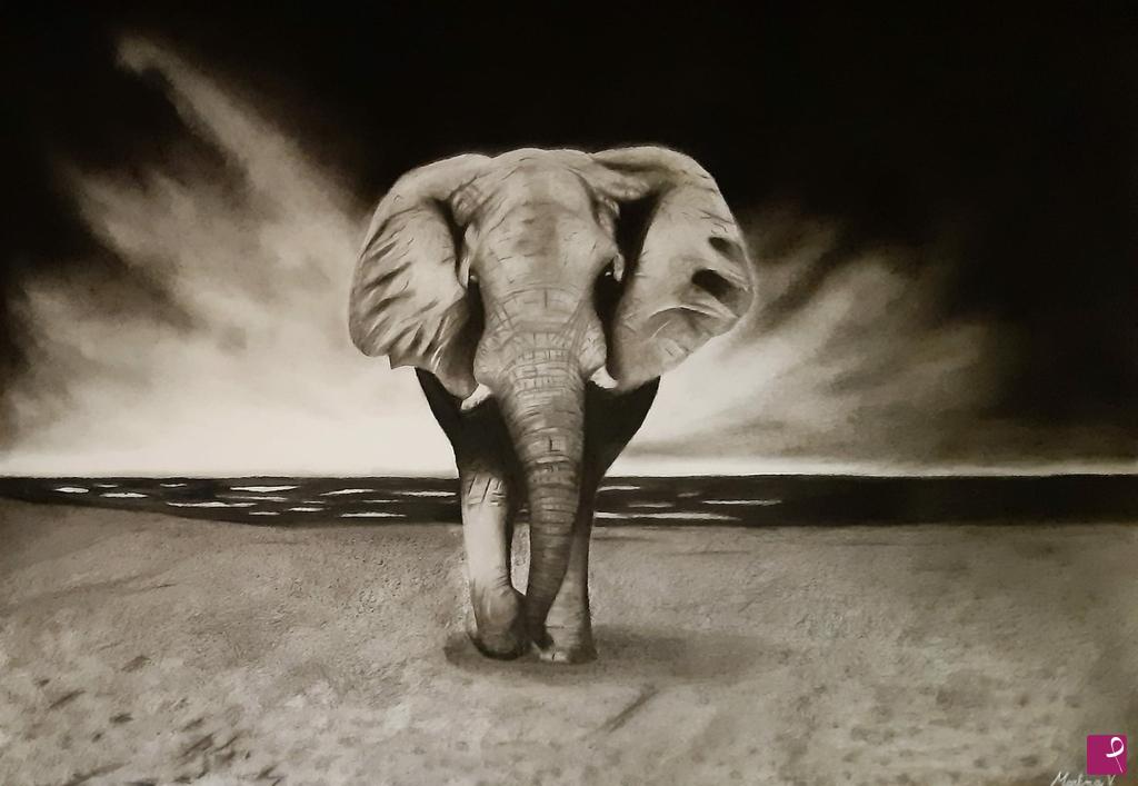quadri in vendita online - Elefante