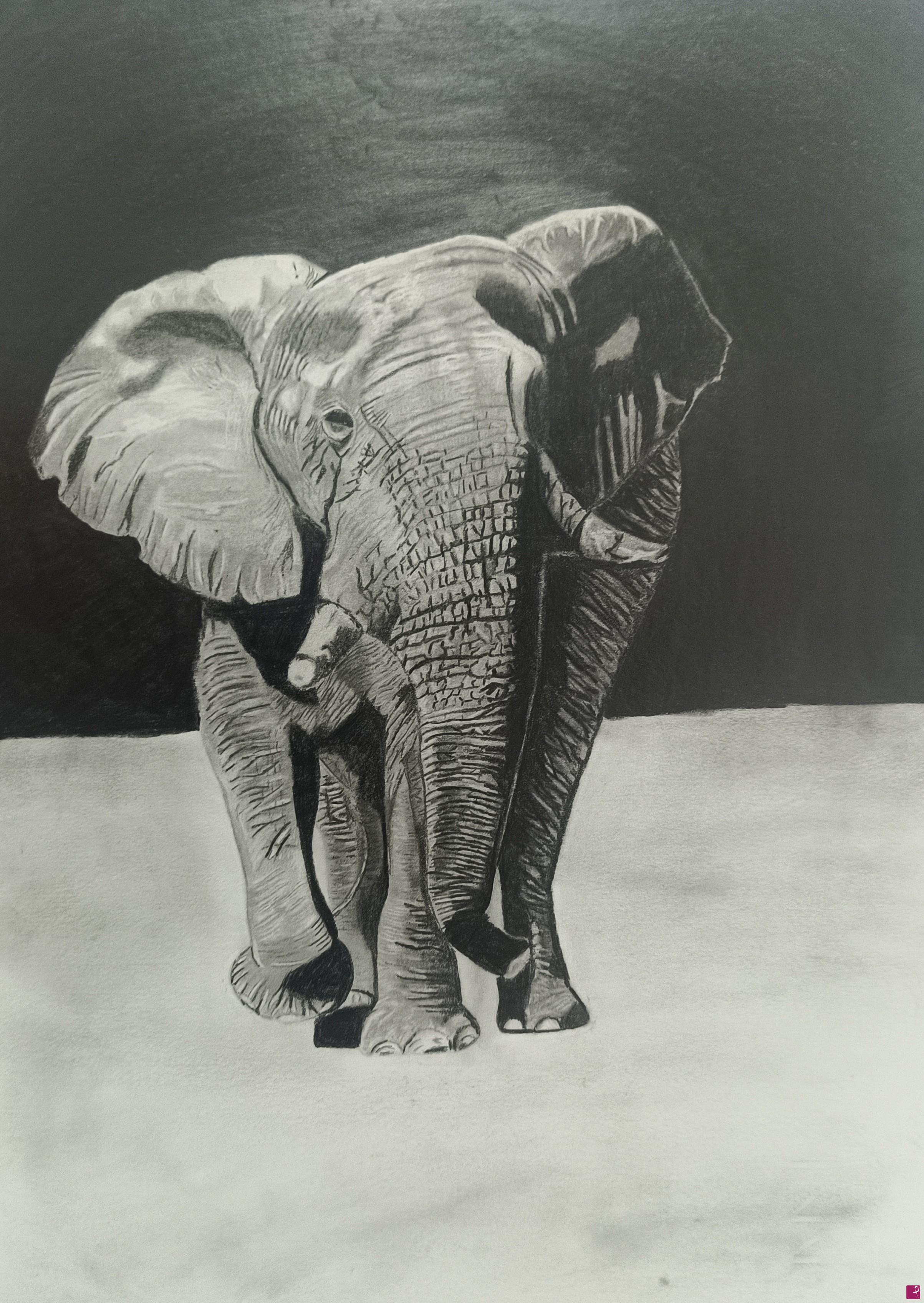 quadri in vendita online - Elefante Africano 