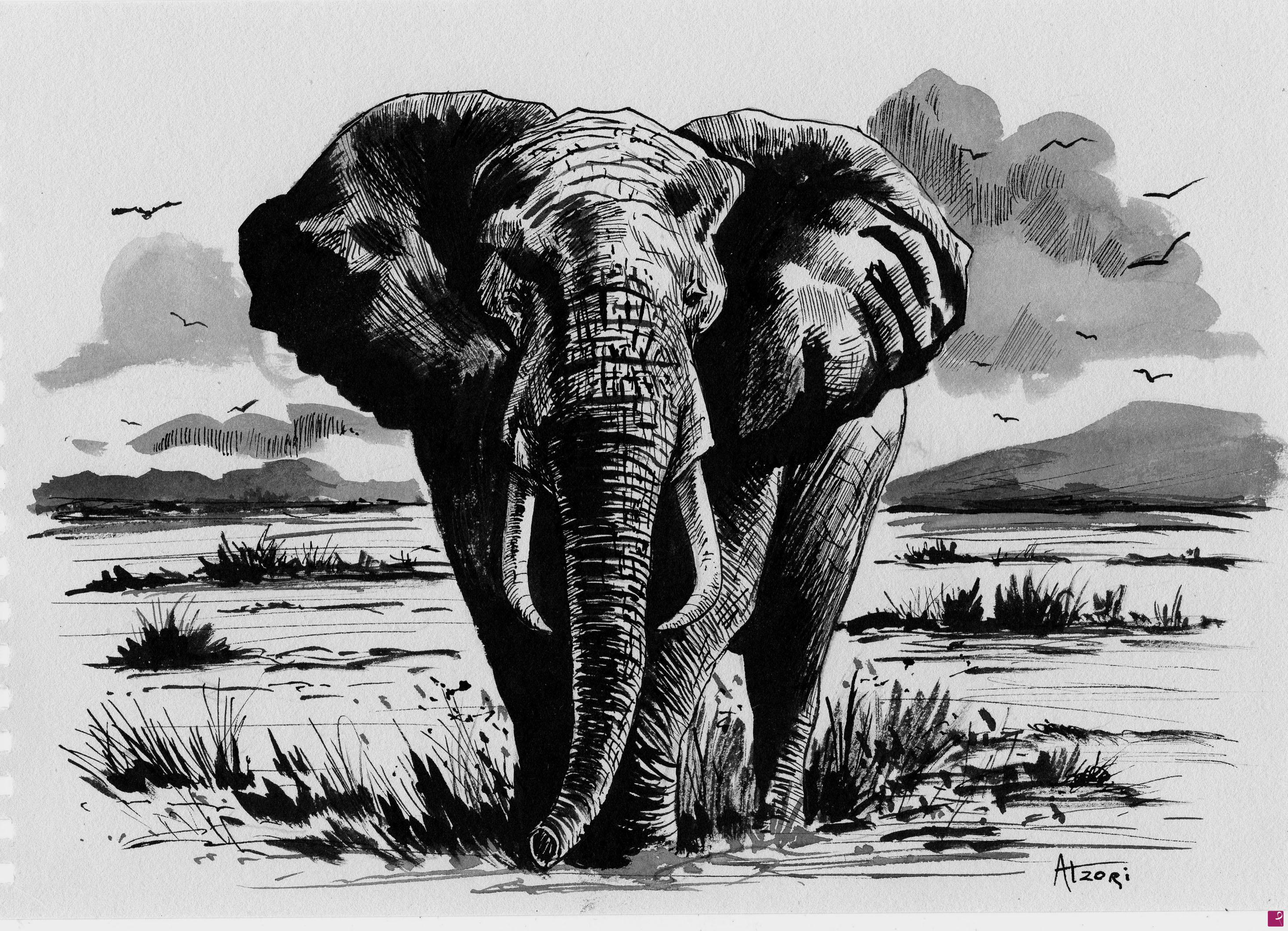 quadri in vendita online - Elefante n.2