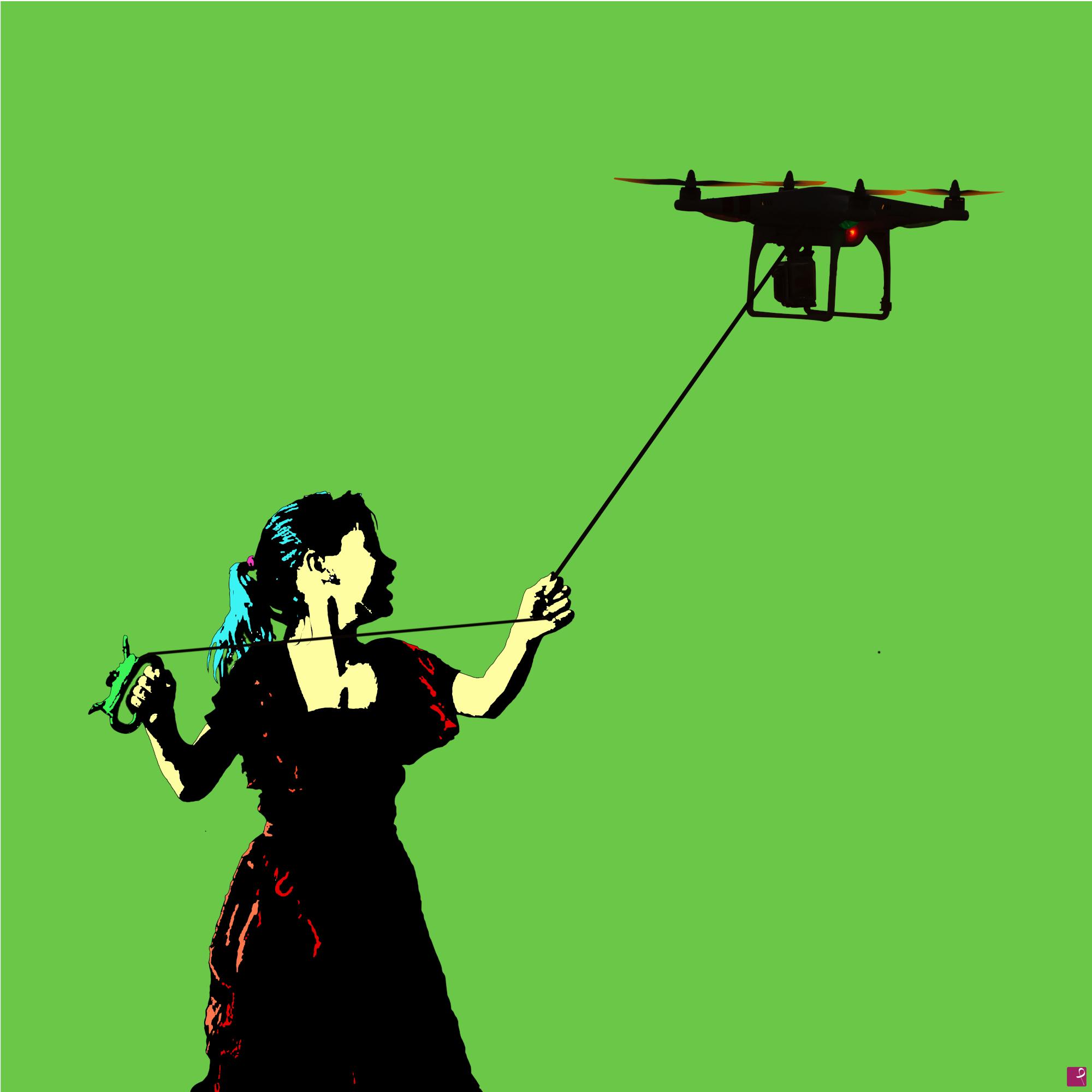 quadri in vendita online - Enjoy your kite-drone