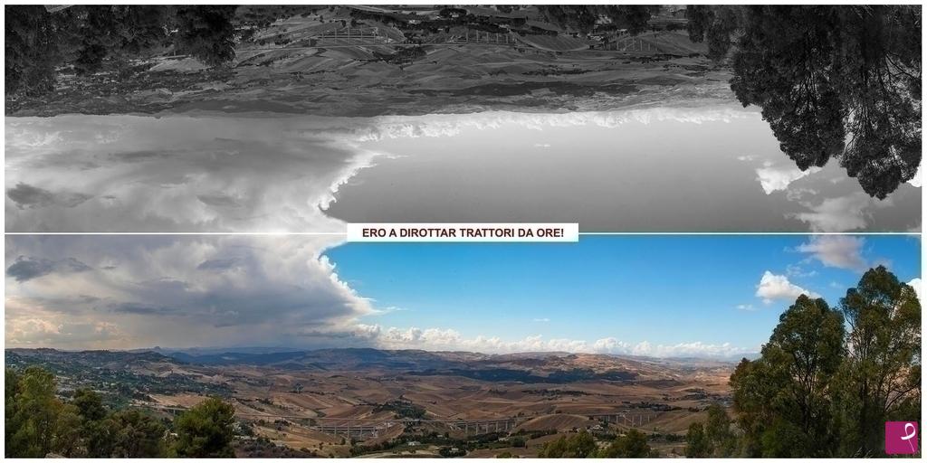 quadri in vendita online - Ero a dirottar trattori da ore