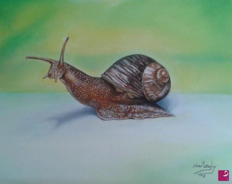 quadri in vendita online - "Escargot"