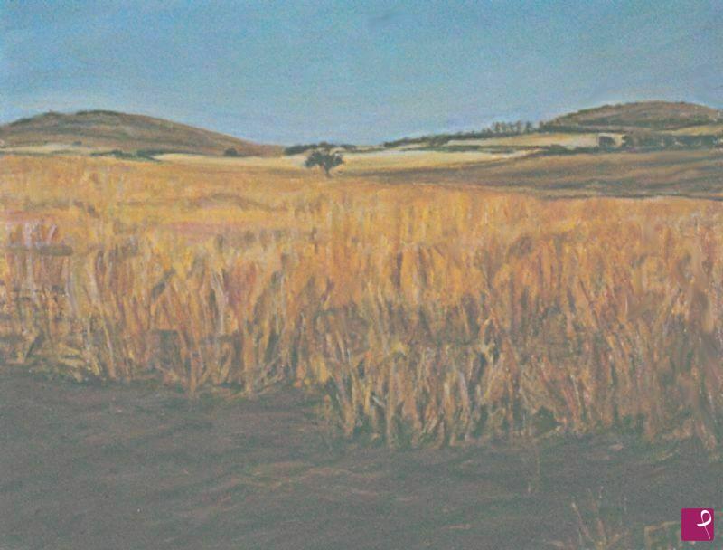 quadri in vendita online - Estate Campidanese