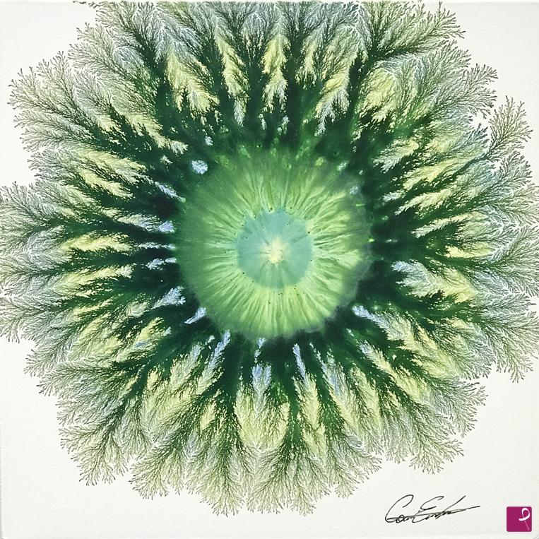 quadri in vendita online - Explosion of nature