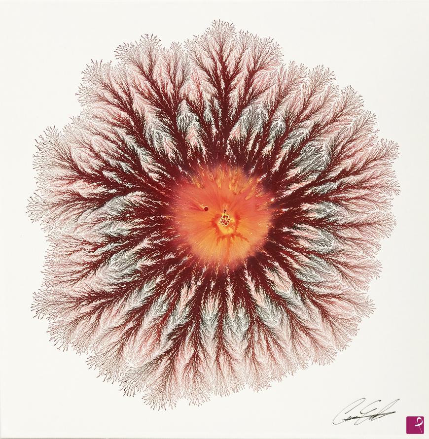 quadri in vendita online - Explosion Sunset