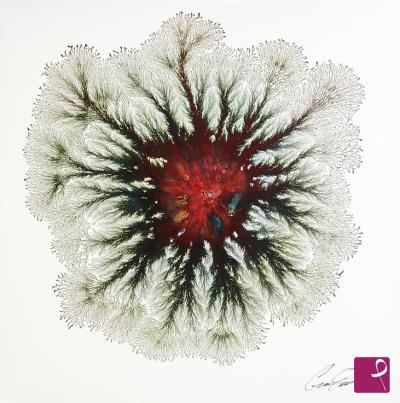 Quadro venduto su PitturiAmo