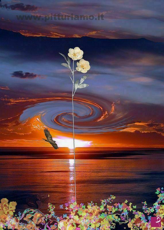 quadri in vendita online - Fiori e tramonto