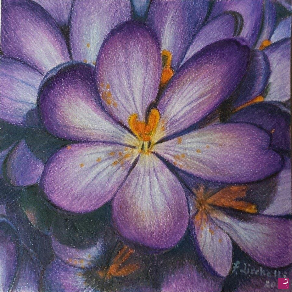 quadri in vendita online - Fiori viola