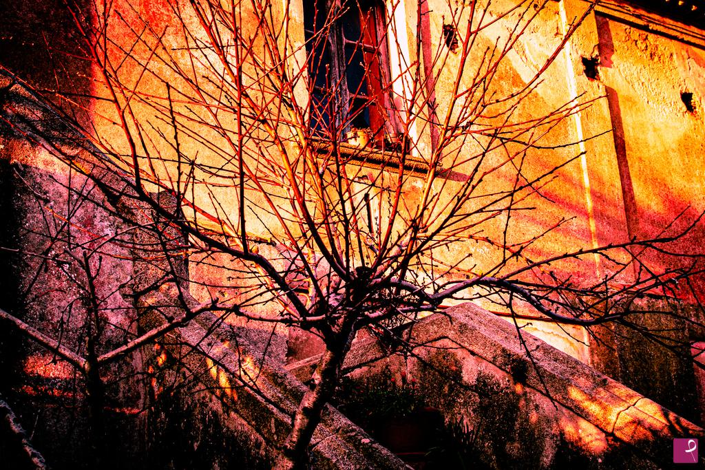 quadri in vendita online - Firing Tree