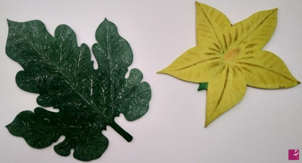 quadri in vendita online - Foglia e Fiore di Zucca
