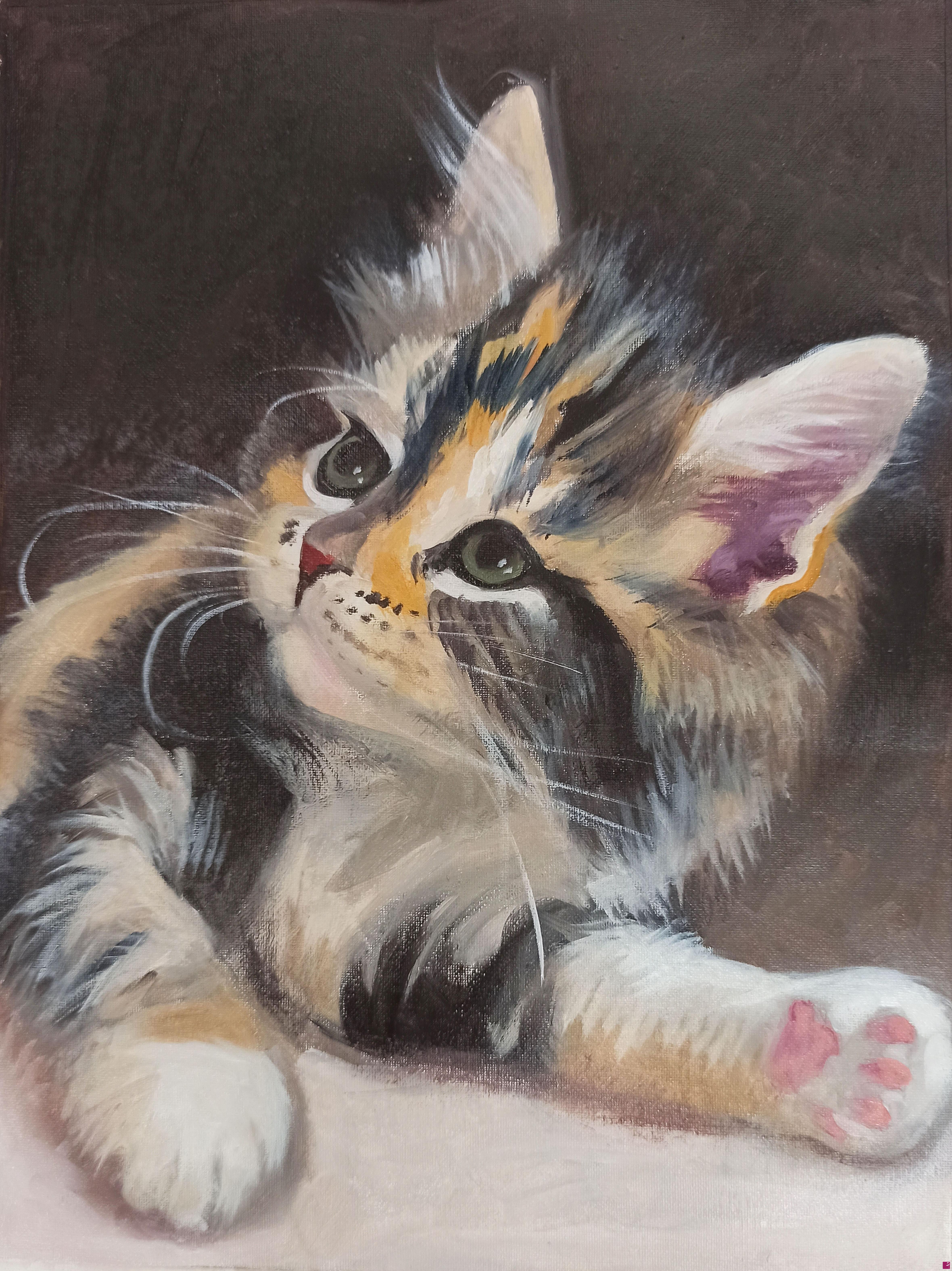 quadri in vendita online - Gatto 1
