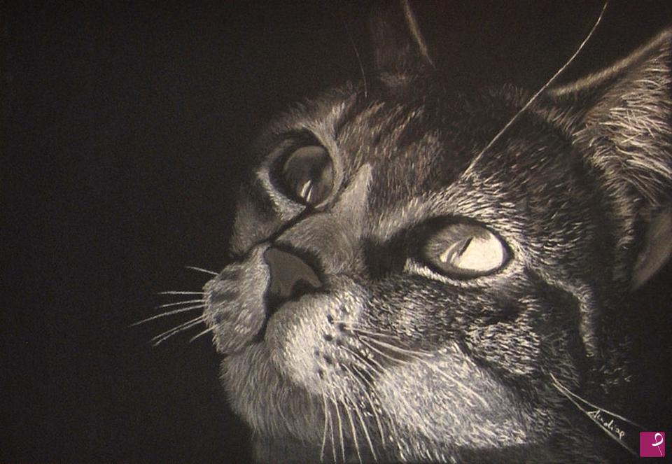 quadri in vendita online - Gatto