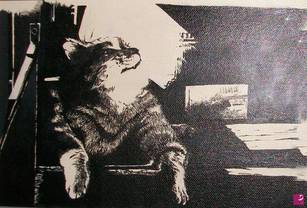 quadri in vendita online - GATTO