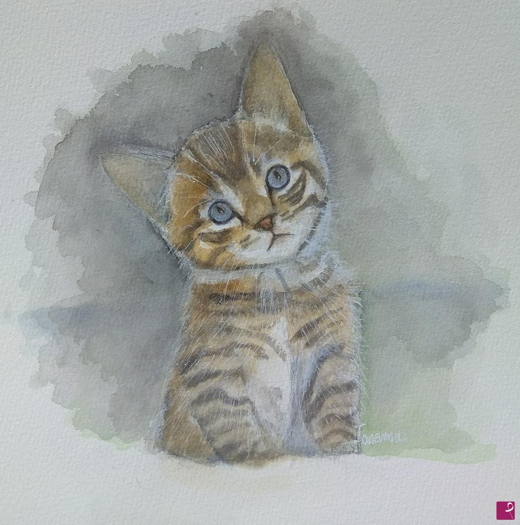 quadri in vendita online - Gatto