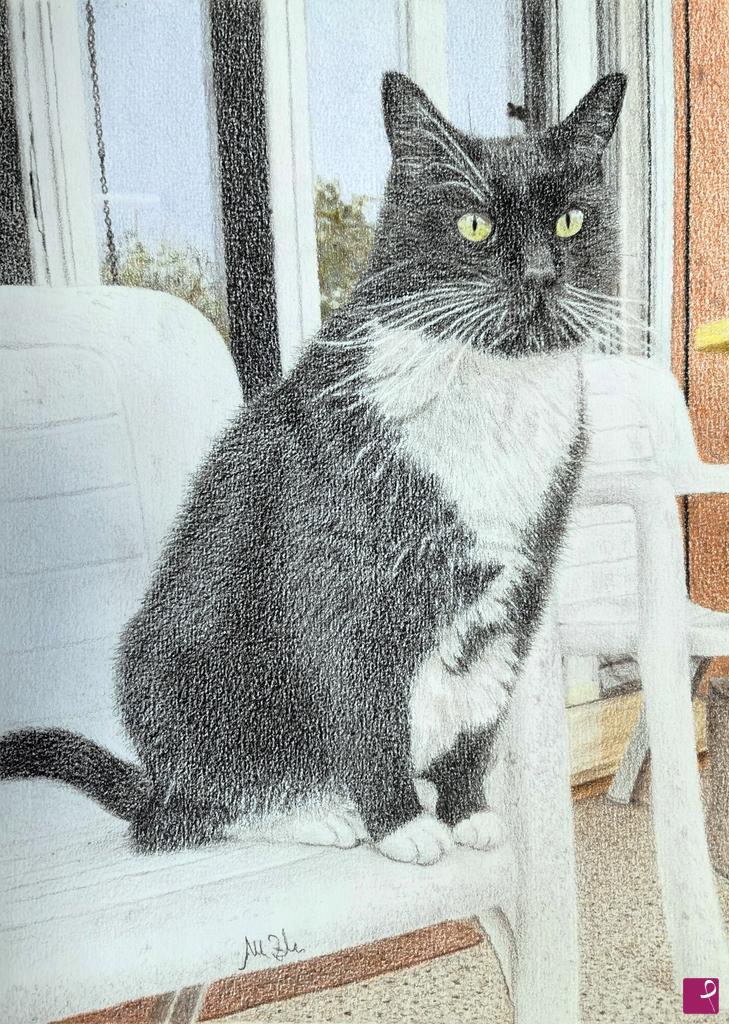 quadri in vendita online - Gatto