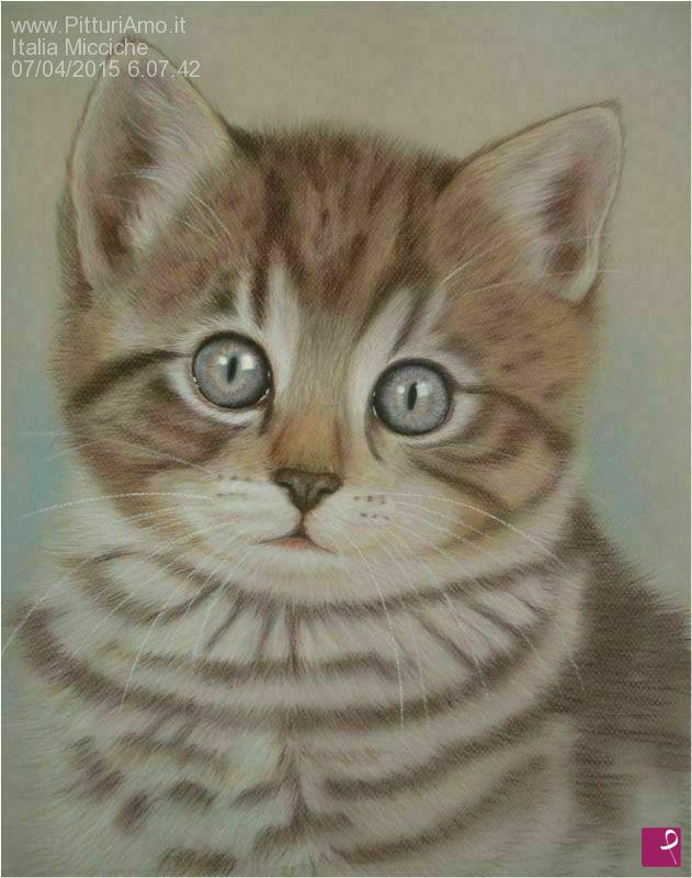 quadri in vendita online - Gatto