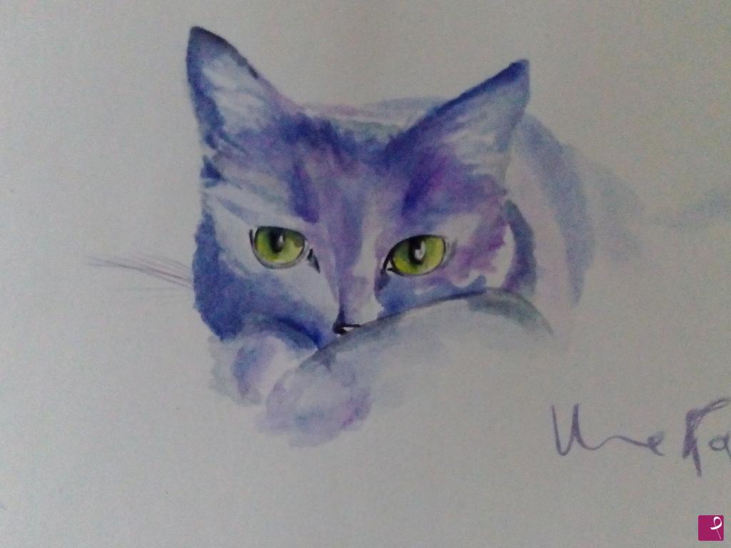 quadri in vendita online - gatto