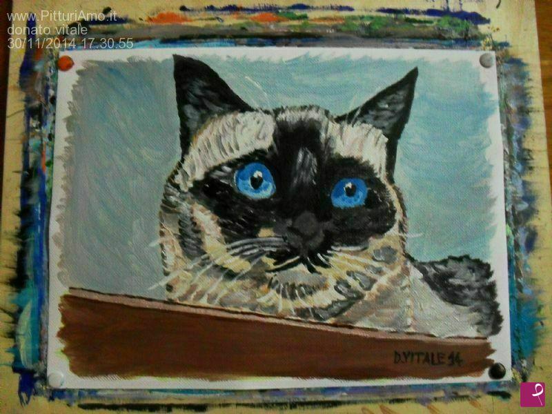 quadri in vendita online - gatto balinese