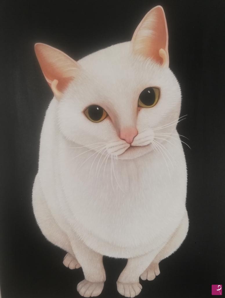 quadri in vendita online - Gatto bianco 