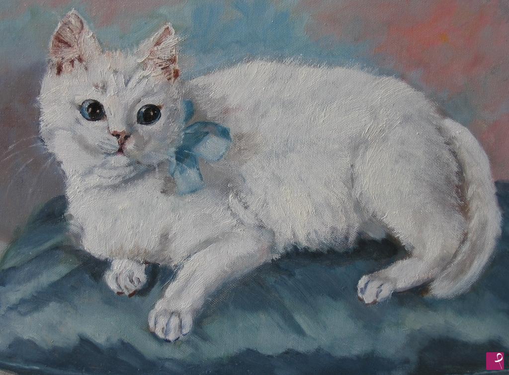 quadri in vendita online - gatto bianco