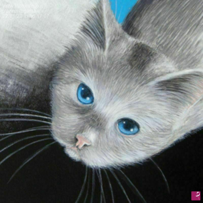 quadri in vendita online - gatto di ottobre