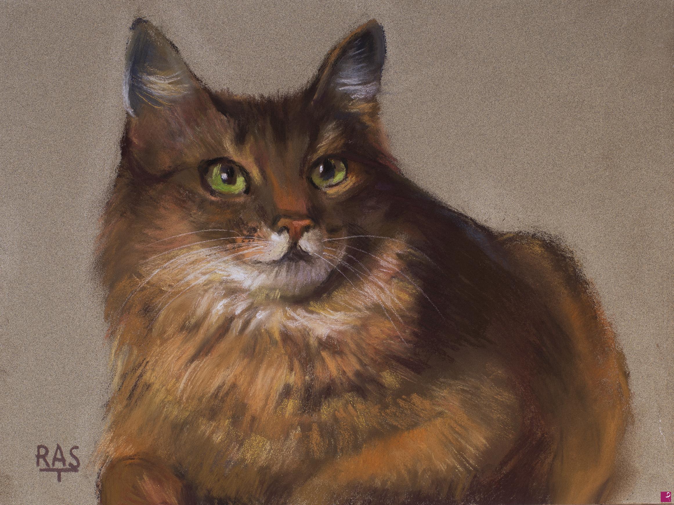 quadri in vendita online - Gatto quadro pittura