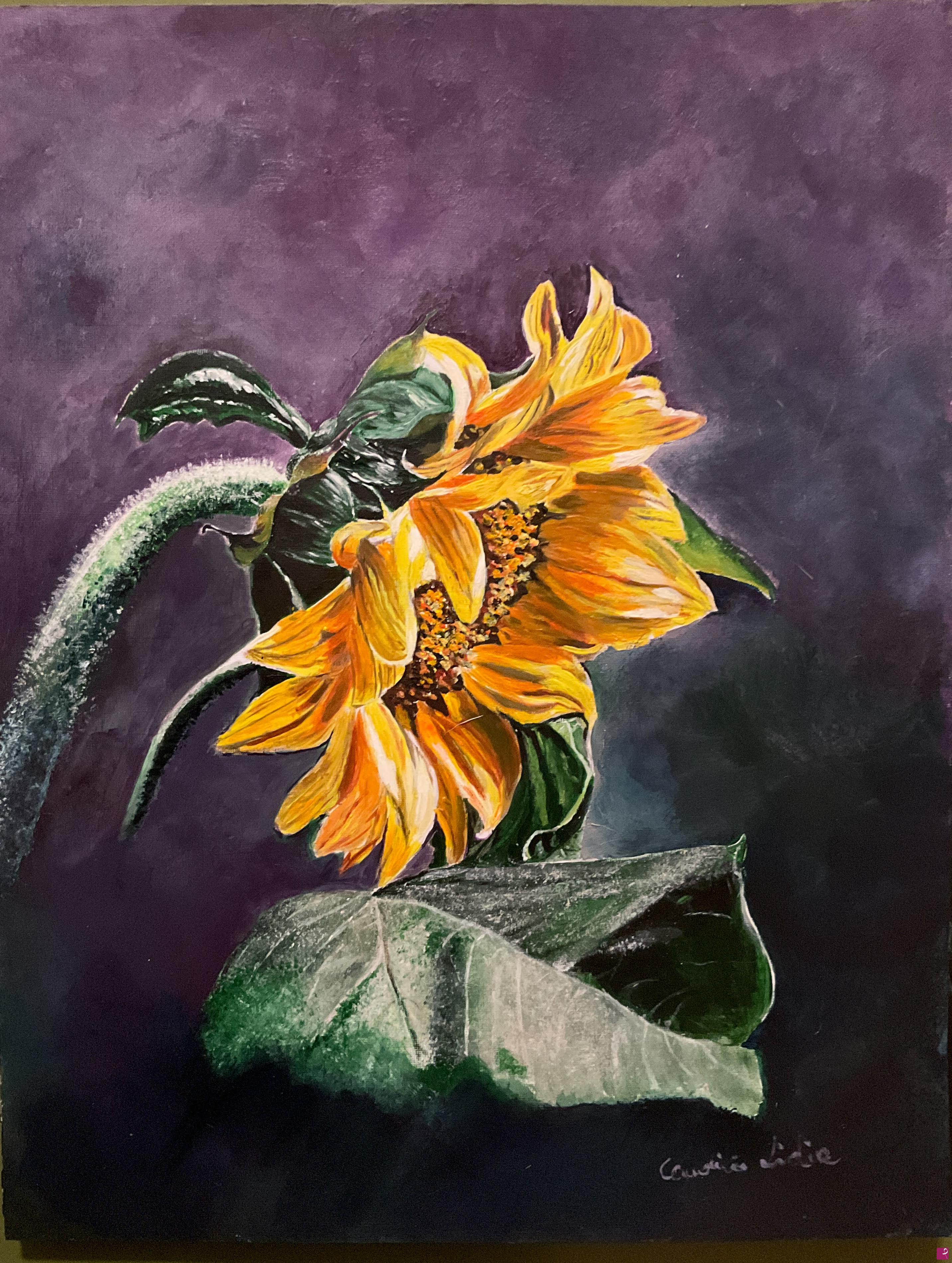 quadri in vendita online - Girasole 