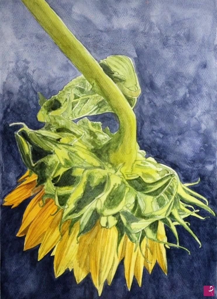 quadri in vendita online - Girasole ricurvo